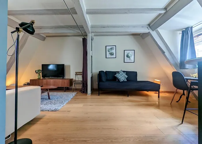 Citycosy Strasbourg - Authentique Batelier